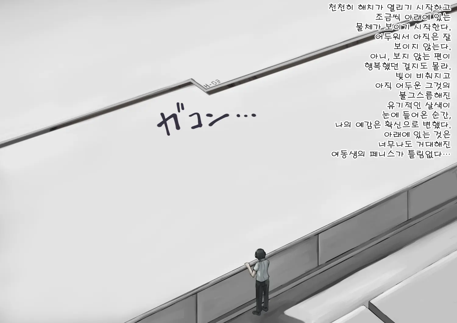 Futanari Imouto Ni Onanie Oshietara Taihen Na Koto Ni Natta | 후타나리 여동생에게 자위를 알려줬더니 큰일이 났다